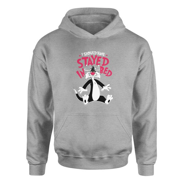 Sylvester Hoodie L - Gri