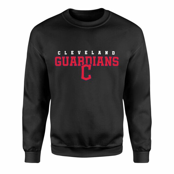 The Guardians Sweatshirt L - Siyah