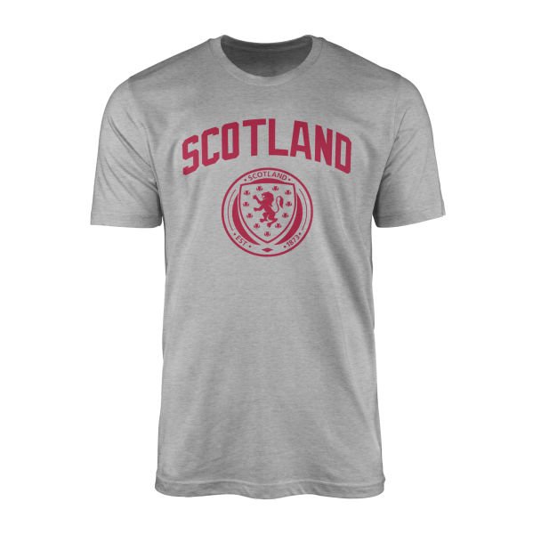 Scotland Euro'24 R Tişört M - Gri
