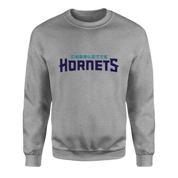 Hornets B Sweatshirt M - Gri