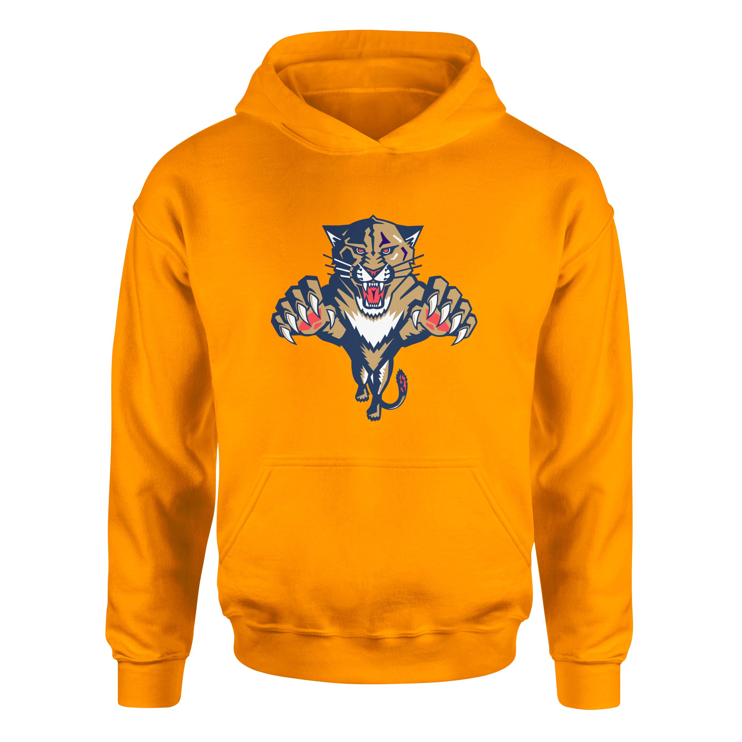 Florida Panthers Hoodie