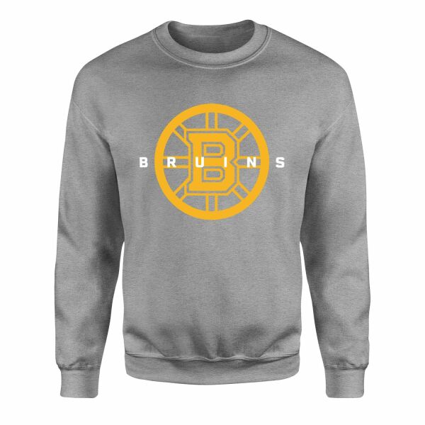 Boston Bruins Graphic Sweatshirt S - Gri