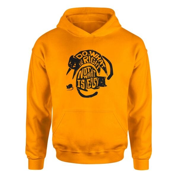 Do what is right, not what is easy Hoodie