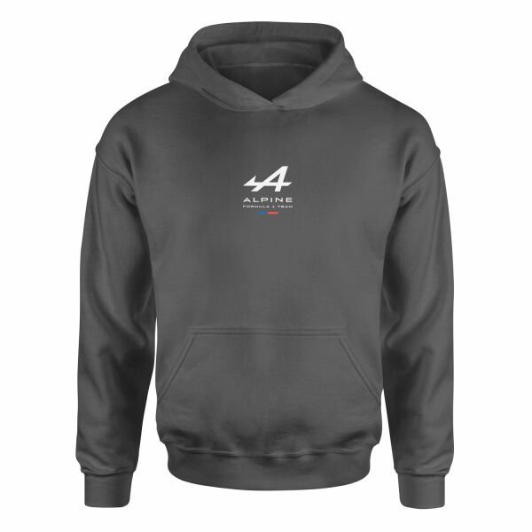 Alpine Racing Hoodie XXL - Füme