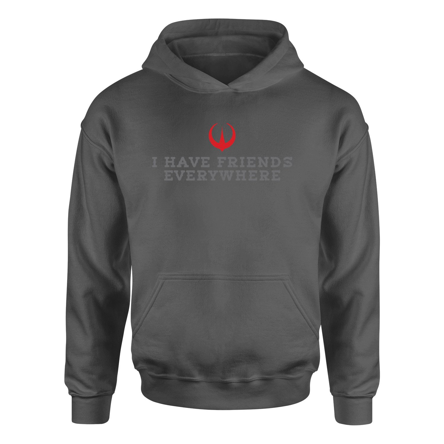 I Have Friends Everywhere Hoodie XXL - Füme