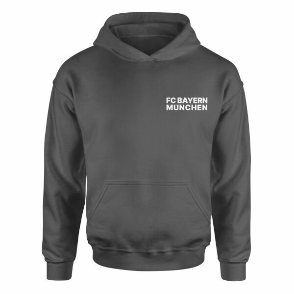 FC Bayern München Modern Hoodie L - Füme