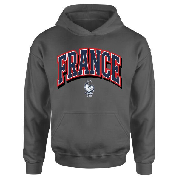 Fransa 2026 Varsity Hoodie XL - Füme