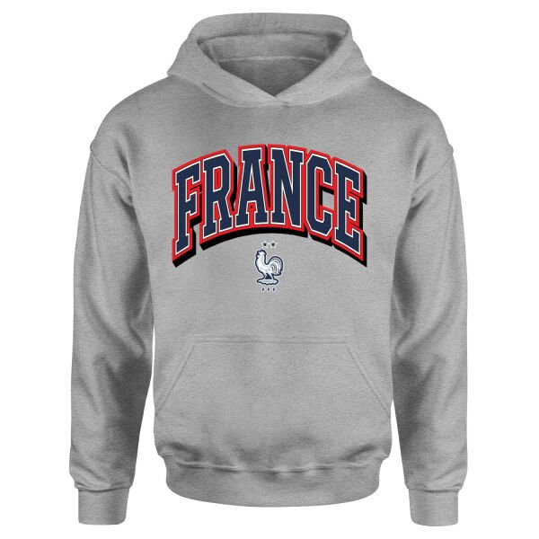 Fransa 2026 Varsity Hoodie M - Gri