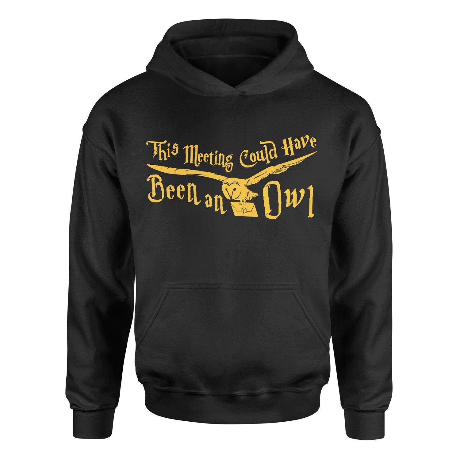 This Meeting Could Have Been An Owl Hoodie XL - Siyah