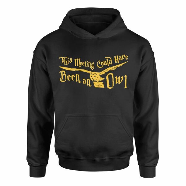 This Meeting Could Have Been An Owl Hoodie XL - Siyah