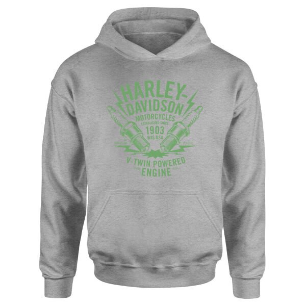 Harley-Davidson XII Hoodie XL - Gri