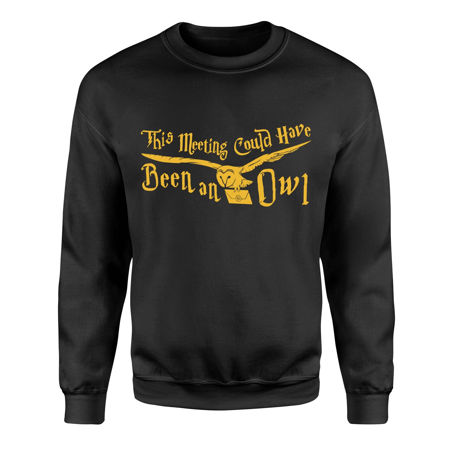 This Meeting Could Have Been An Owl Sweatshirt XXL - Siyah