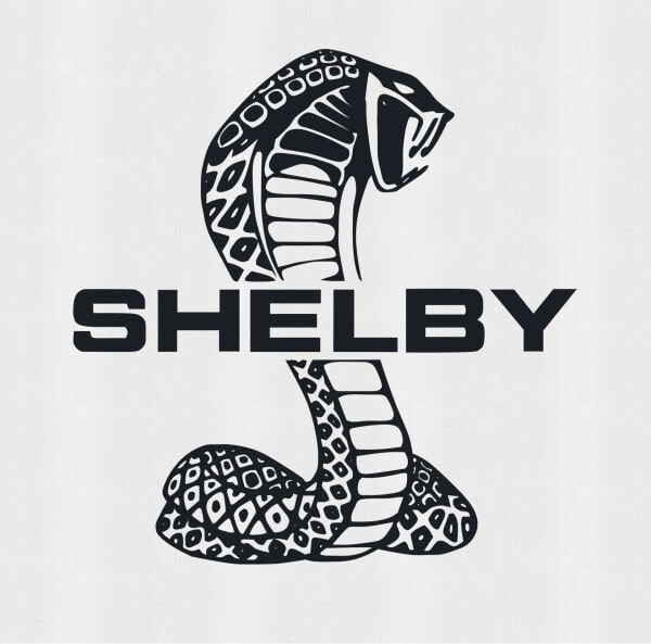 Shelby GT 500 Tişört