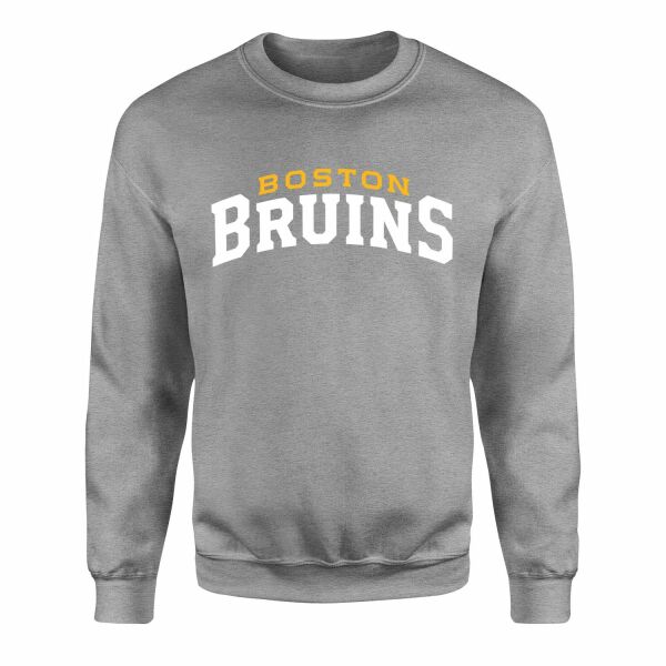 Boston Bruins W Sweatshirt L - Gri