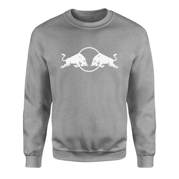 Red Bull Racing W Sweatshirt L - Gri | OUTLET