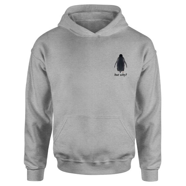 but why? Hoodie S - Gri