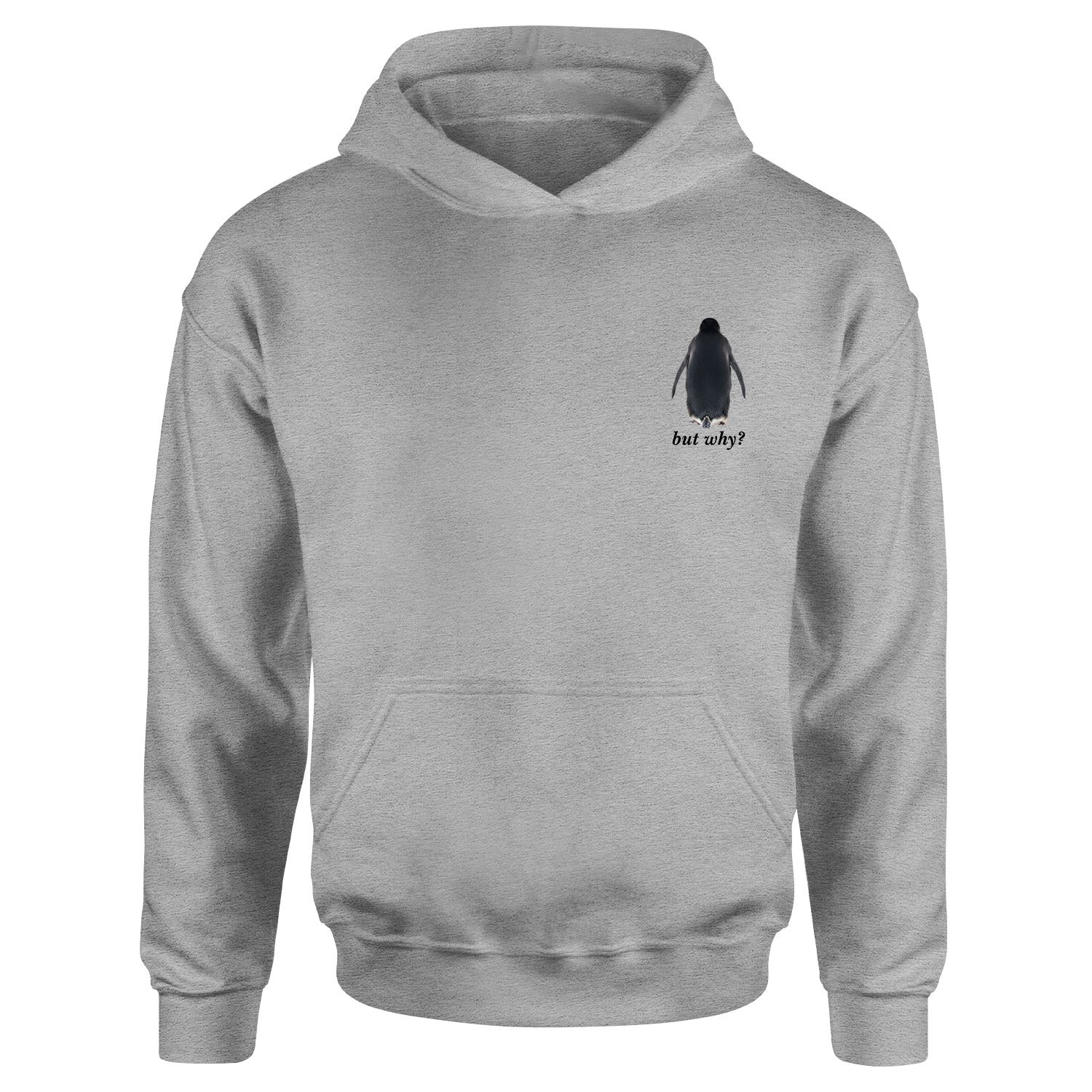 but why? Hoodie XXL - Gri