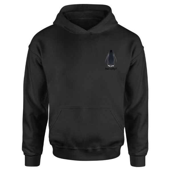 but why? Hoodie M - Siyah