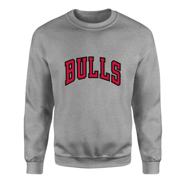 BULLS Sweatshirt L - Gri