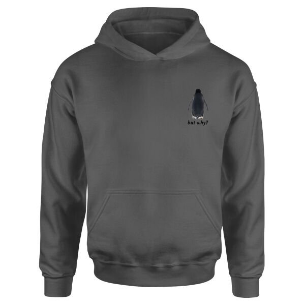 but why? Hoodie XL - Füme