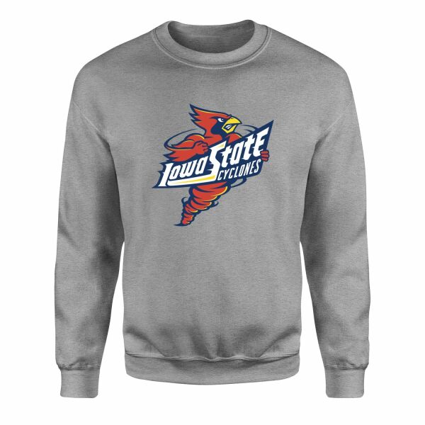 Iowa State Cyclones Sweatshirt M - Gri