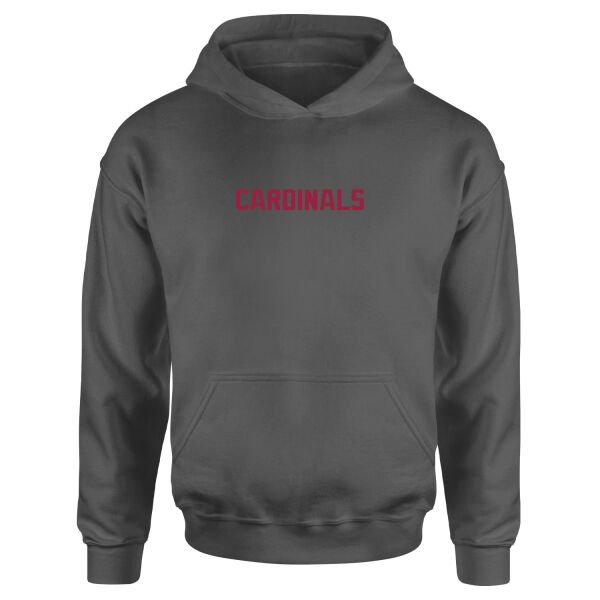 ARI CARDINALS Iconic Hoodie M - Füme