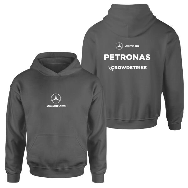 Mercedes AMG 2026 Basic Hoodie L - Füme