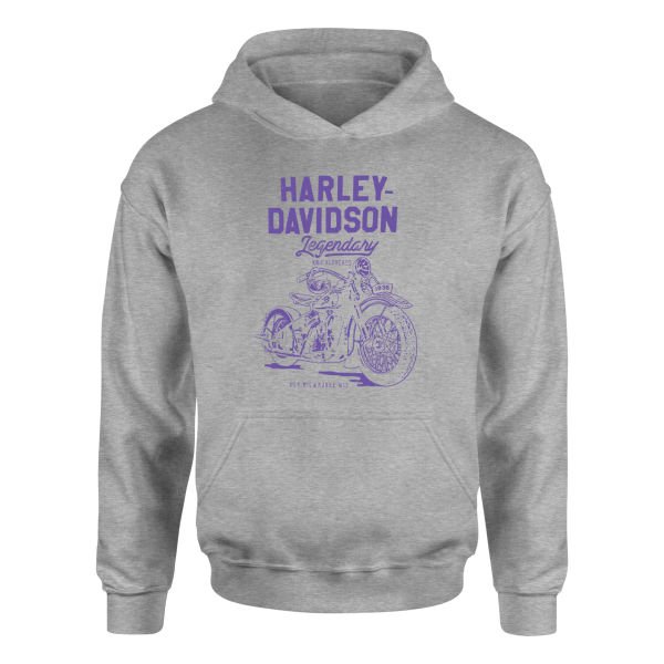 Harley-Davidson XIV Hoodie XL - Gri