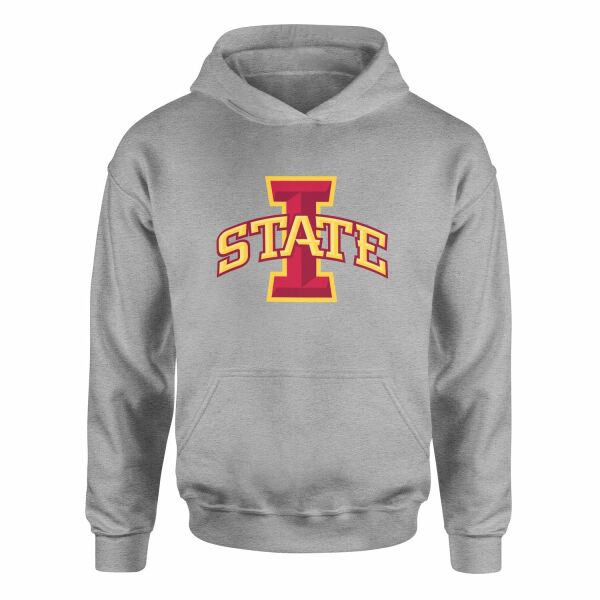 Iowa State Hoodie M - Gri