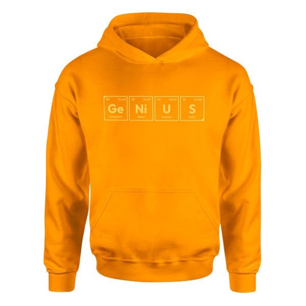 GeNiUS Hoodie