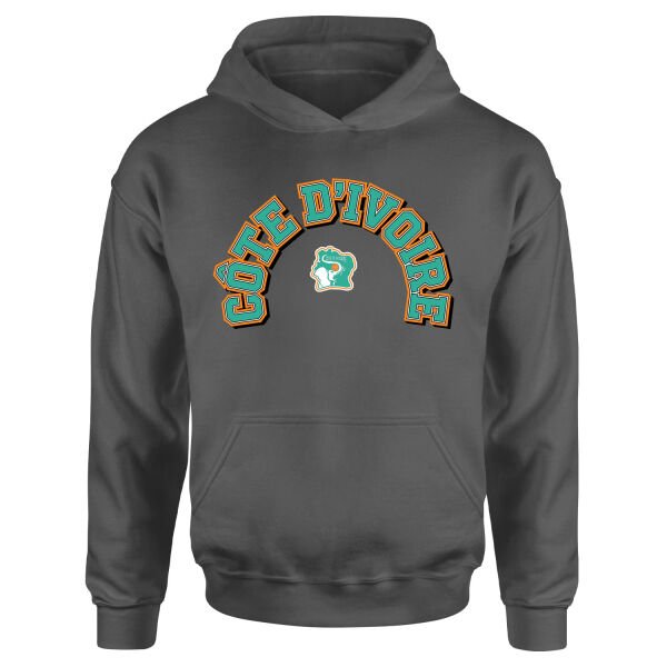 Fildişi Sahilleri 2026 Varsity Hoodie M - Füme