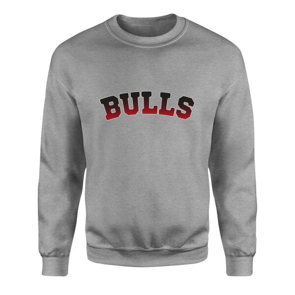 Bulls Arch Sweatshirt XL - Gri