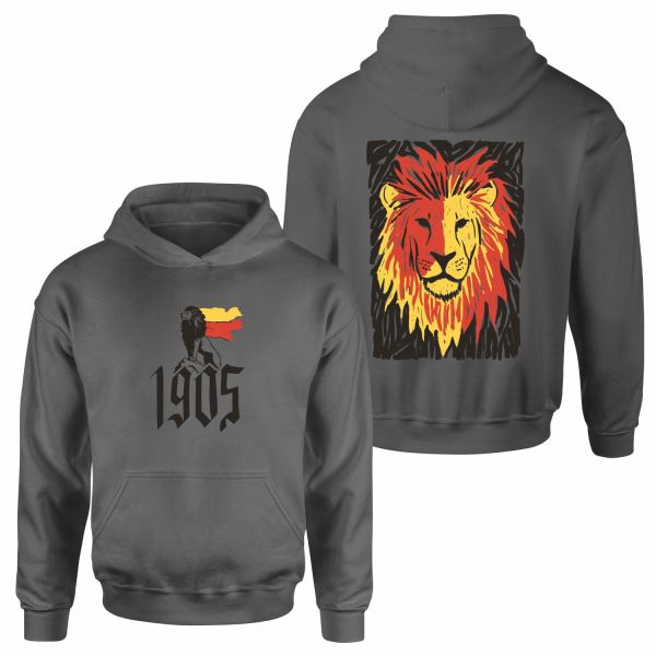 The Birth of a Lion Hoodie XL - Füme