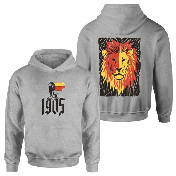 The Birth of a Lion Hoodie S - Gri