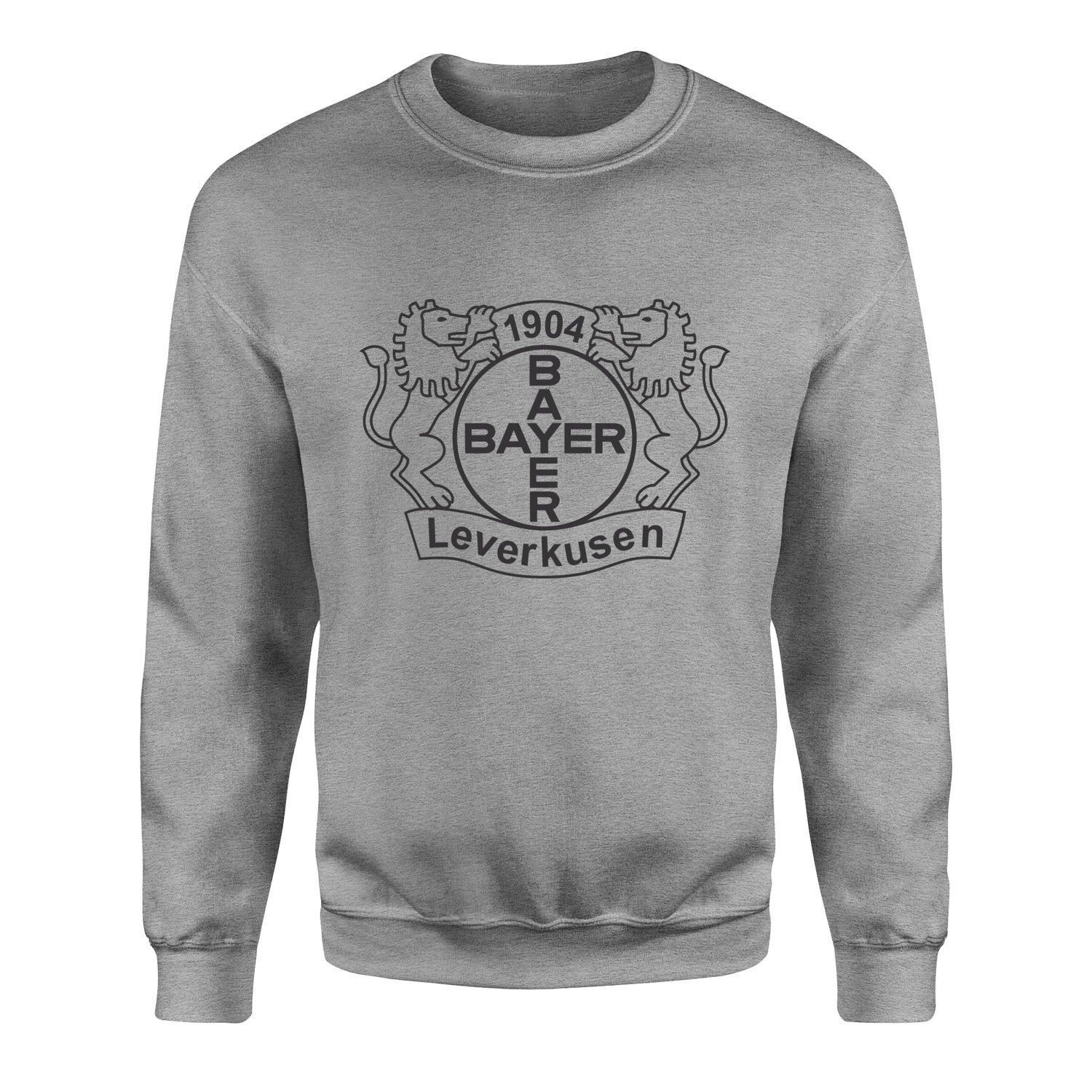 Bayer Leverkusen Shield Sweatshirt L - Gri