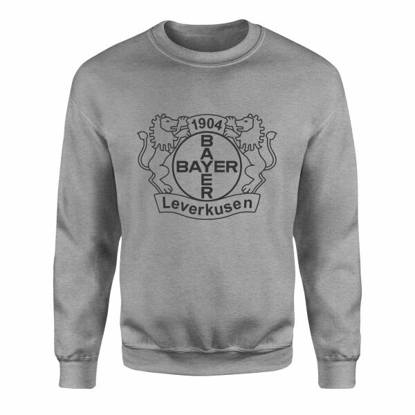 Bayer Leverkusen Shield Sweatshirt L - Gri