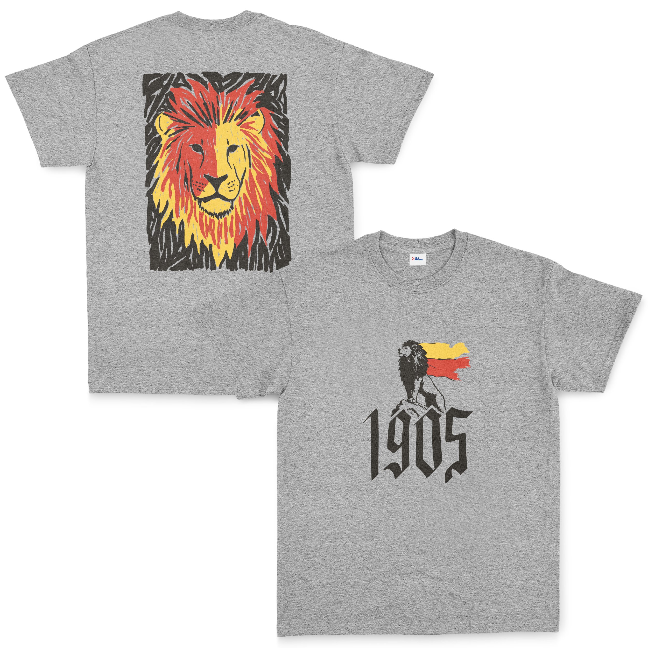 The Birth of a Lion Tişört XXL - Gri