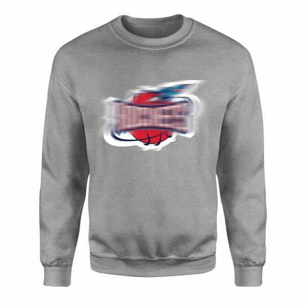 Rockets Sweatshirt XL - Gri