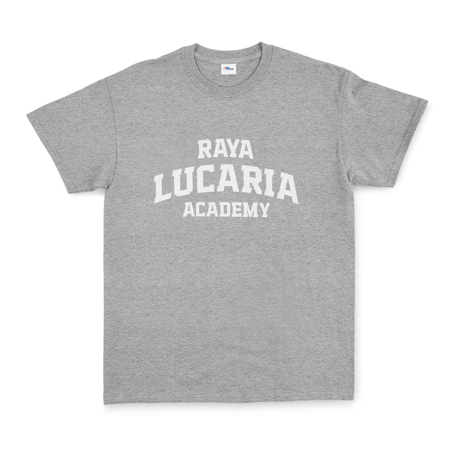Raya Lucaria Academy Tişört XL - Gri | OUTLET