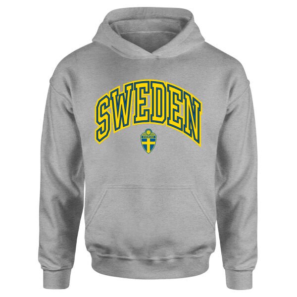 İsveç 2026 Varsity Hoodie L - Gri