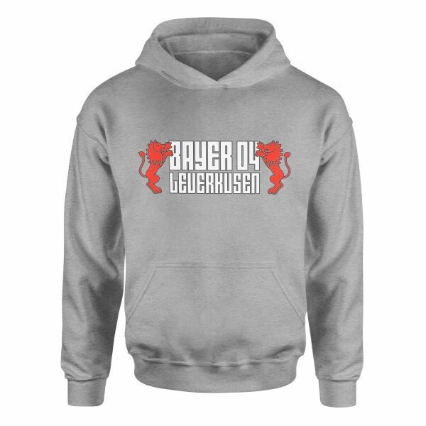 Bayer 04 Leverkusen Hoodie XXL - Gri
