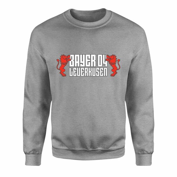 Bayer 04 Leverkusen Sweatshirt M - Gri