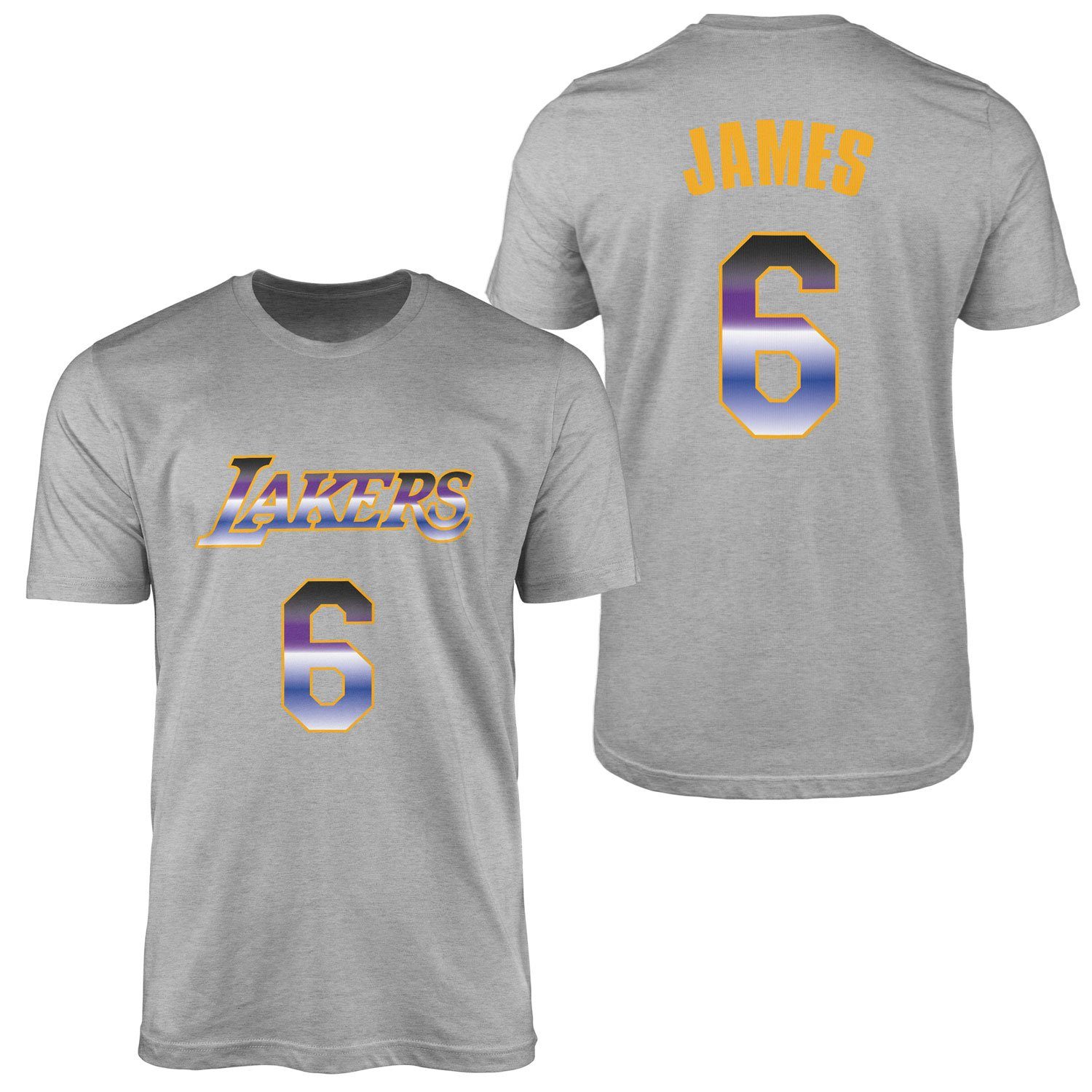 LeBron James 6 Lakers Gradient Forma Tişört M - Gri