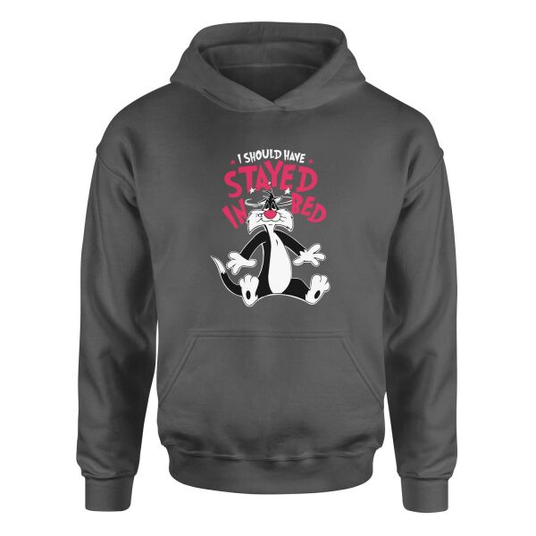Sylvester Hoodie XL - Füme