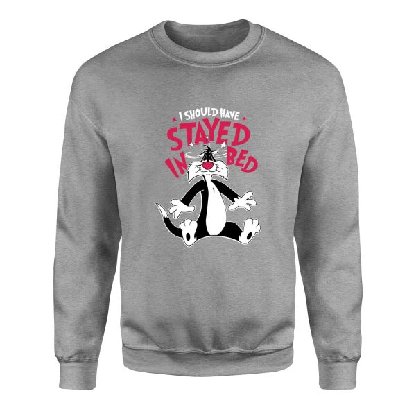 Sylvester Sweatshirt S - Gri