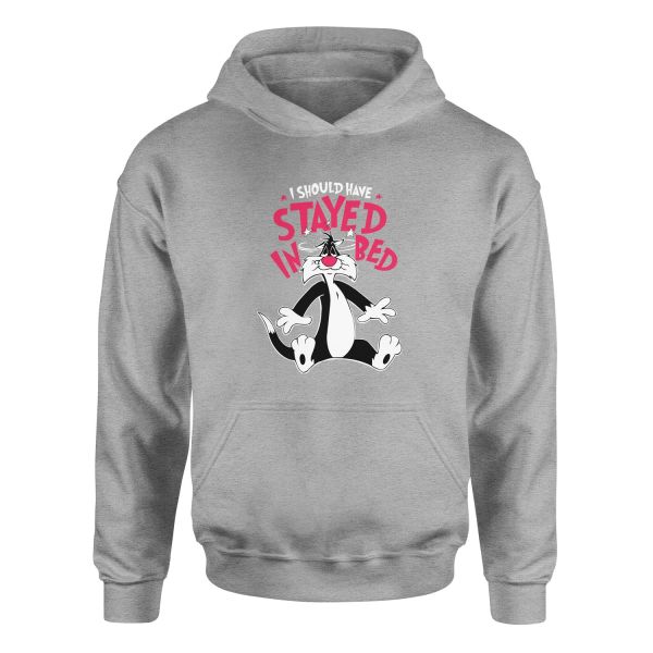 Sylvester Hoodie M - Gri
